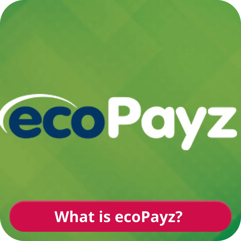 EcoPayz online